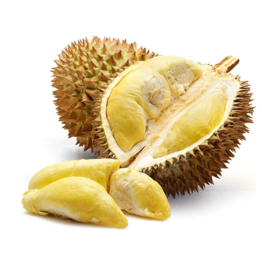 Durian Fruit – Fruit Plants & Tree