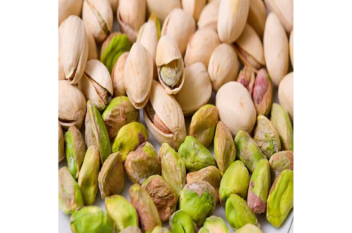 Pistachio Live Plant -Fruit Plants & Tree